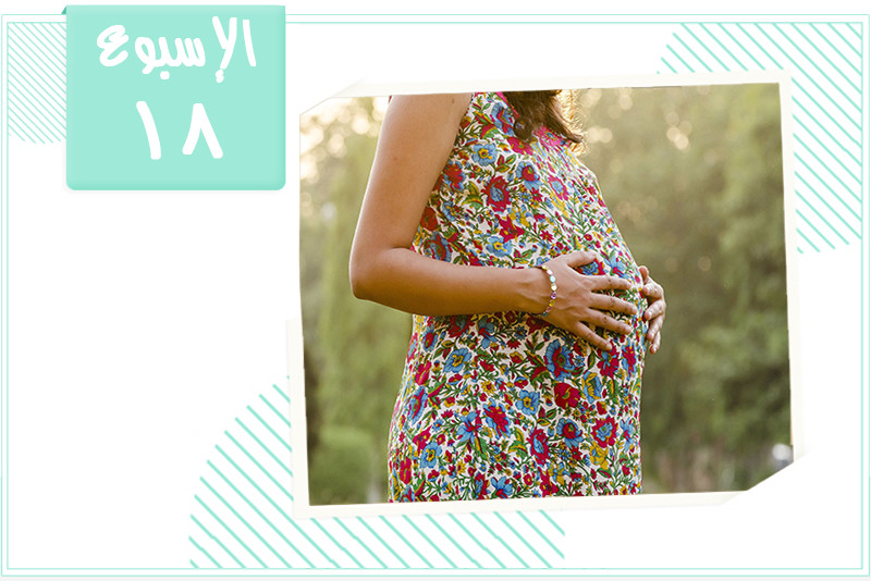 الأسبوع الثامن عشر من الحمل: بداية حركات الجنين
